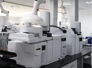 普研引領(lǐng)技術(shù)創(chuàng)新，上海標(biāo)準(zhǔn)技術(shù)服務(wù)助力產(chǎn)業(yè)升級(jí)