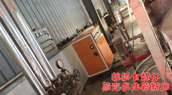 72kW電蒸汽發生器在豆制品飼料生產中的應用探析
